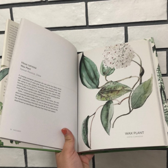 Urban Botanics: An Indoor Plant Guide for Modern - Picture 4 of 4